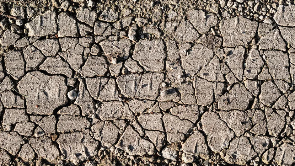 Rubrik_Naturschutz_Boden_Pixabay_land-2471176_1920